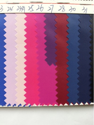 DG-BICG BC-2301 PL  背囊面料 細節-1